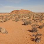 Sul sentiero per l'Horse Shoe Bend